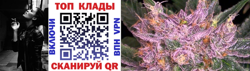 Как найти наркотики Курчатов Амфетамин  Альфа ПВП  МЕФ  ГАШ  кракен зеркало  Cocaine  Конопля 
