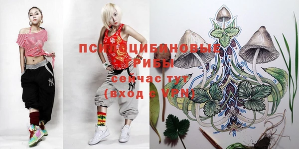 марихуана Новозыбков