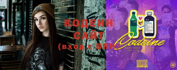 молекула духа Билибино