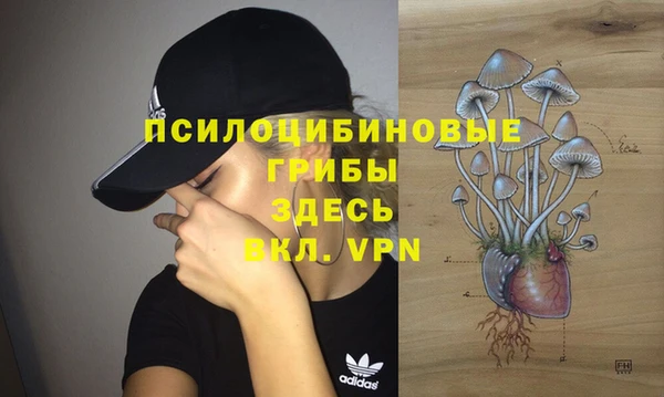 круглые Нягань