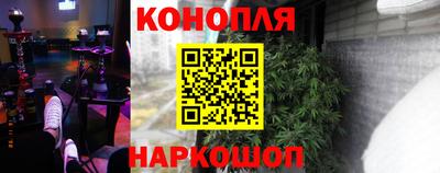 стафф Донецк