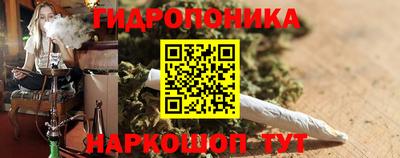 гидра Дубна