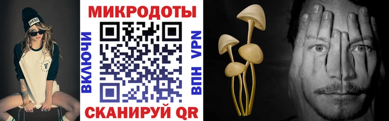 Псилоцибиновые грибы ЛСД как найти закладки Курчатов