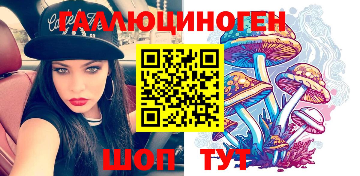 закладка  Курчатов  Псилоцибиновые грибы Cubensis  Галлюциногенные грибы прущие грибы 