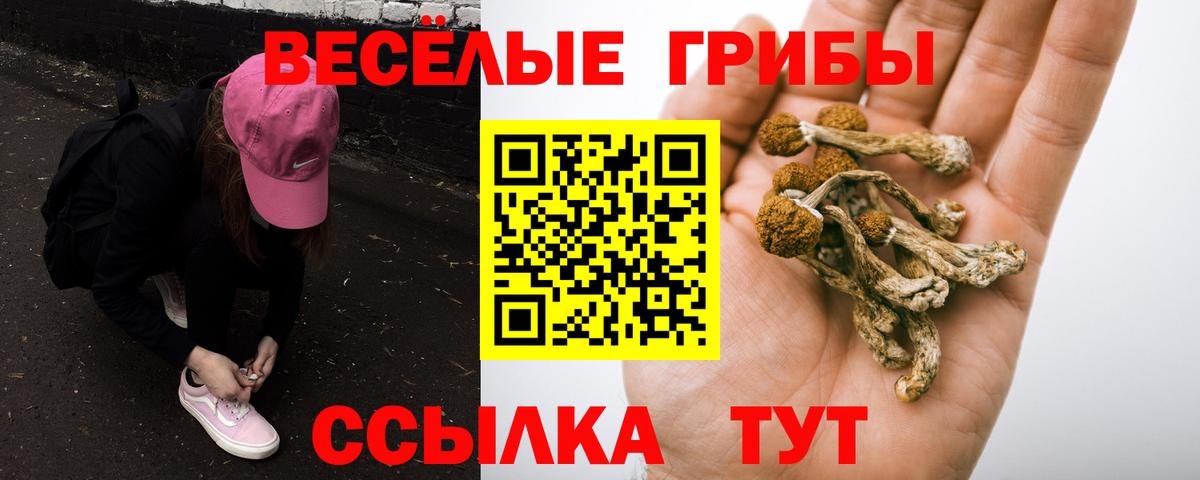 Псилоцибиновые грибы GOLDEN TEACHER  Вход с VPN  Курчатов 